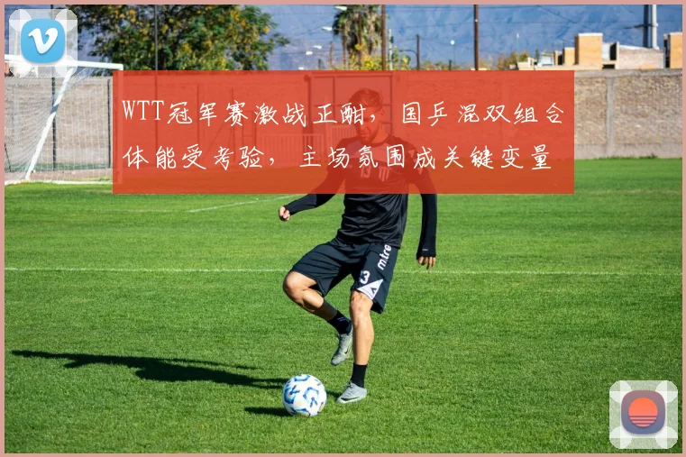 WTT冠军赛激战正酣，国乒混双组合体能受考验，主场氛围成关键变量