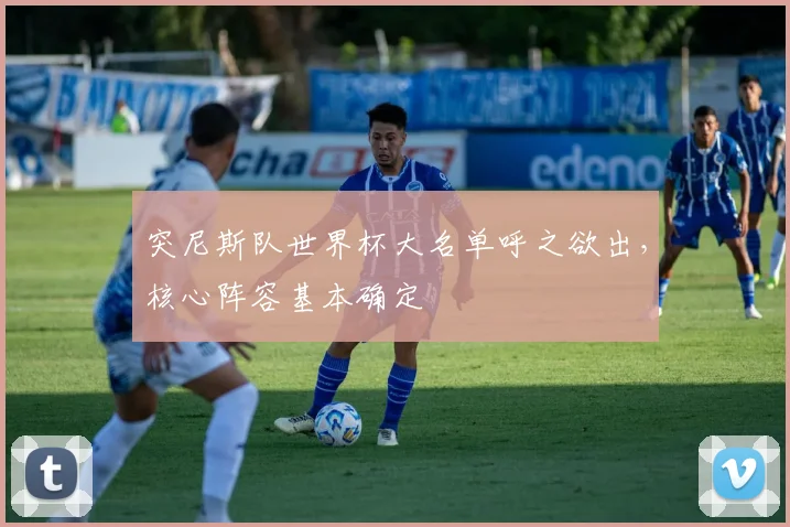 突尼斯队世界杯大名单呼之欲出，核心阵容基本确定